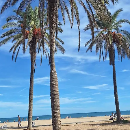 Apartamento Patacona *